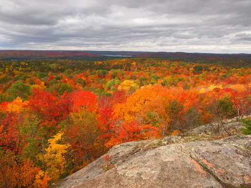 Centennial Ridges Trail in Canada, North America | Trekking & Hiking - Rated 3.9