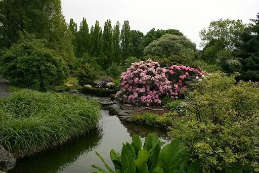 University of Oslo Botanical Garden in Norway, Europe | Botanical Gardens - Rated 4.1