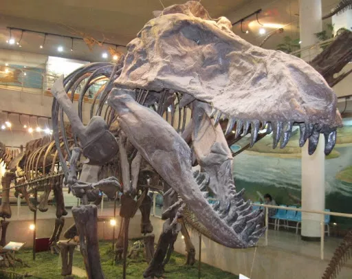 Paleozoological Museum of China in China, East Asia | Museums - Rated 3.3