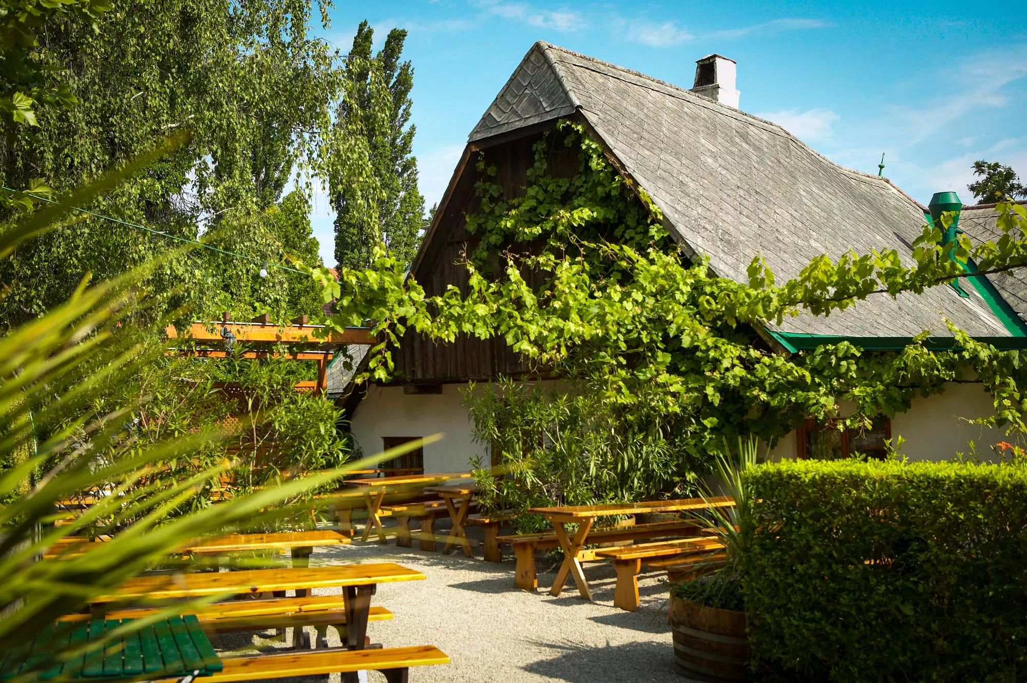 Edlmoser Vineyard & Winery in Austria, Europe | Wineries - Rated 0.9