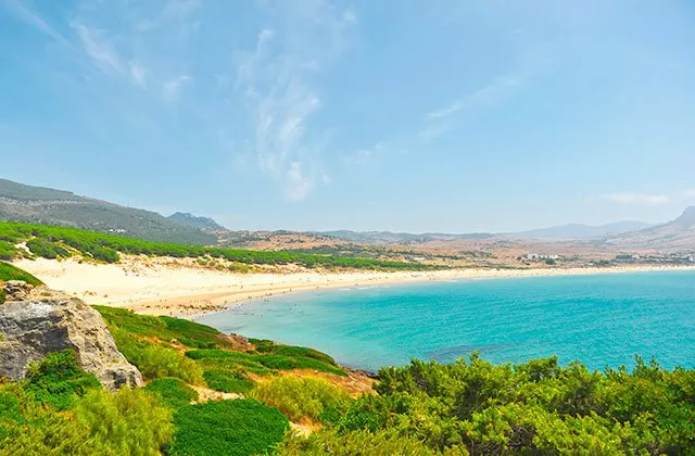 Bolonia Beach in Spain, Europe | Beaches - Rated 4.2