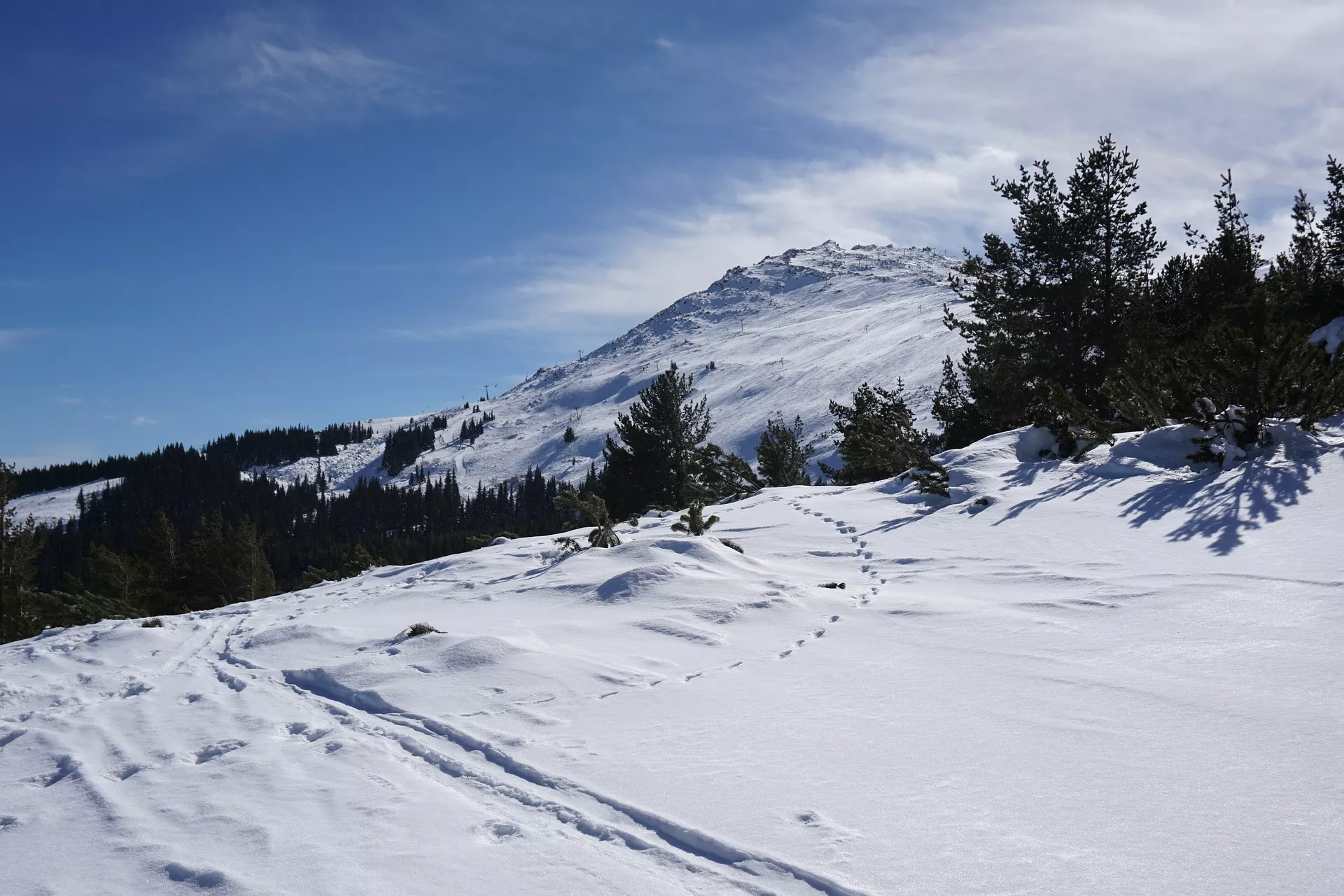 Ski Track Vitoshko Lale in Bulgaria, Europe | Snowboarding,Skiing - Rated 3.5
