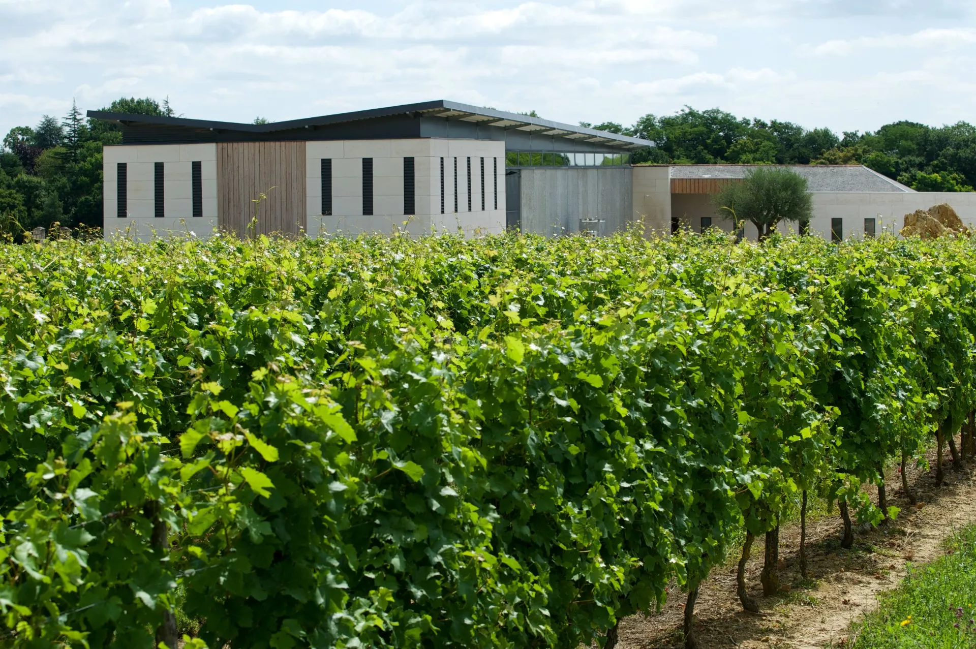 Field Rocheville in France, Europe | Wineries - Rated 0.8