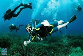 Scuba Ibiza Diving Center in Spain, Europe | Scuba Diving - Rated 3.9