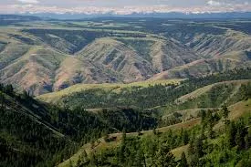 Umatilla National Forest in USA, North America | Nature Reserves - Rated 3.9