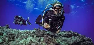 Maui Dive Shop in USA, North America | Scuba Diving - Rated 3.5