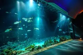 Tropen-Aquarium Hagenbeck in Germany, Europe | Aquariums & Oceanariums - Rated 4.2