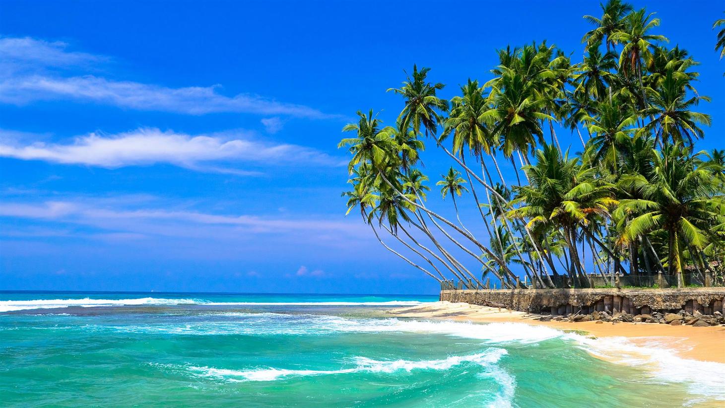 Что делать на шри. Хиккадува Шри Ланка. Хиккадува пляж. Пляж Шри Ланки Хиккадува. Пляж Хиккадува на Шри Ланке.