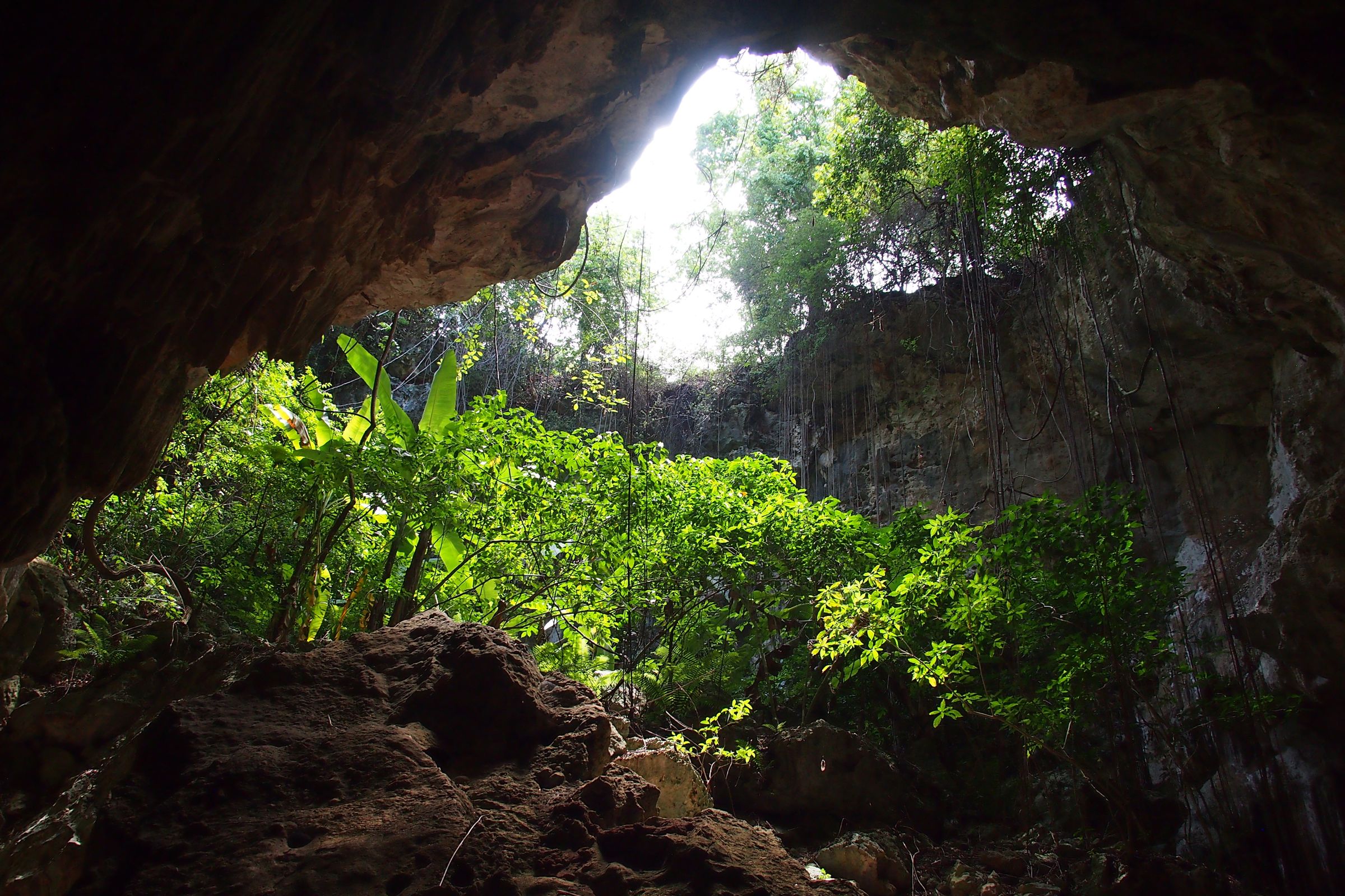 Пещера Макао Гаити