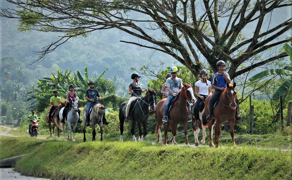 Top 10 Spots for Horseback Riding in Penang