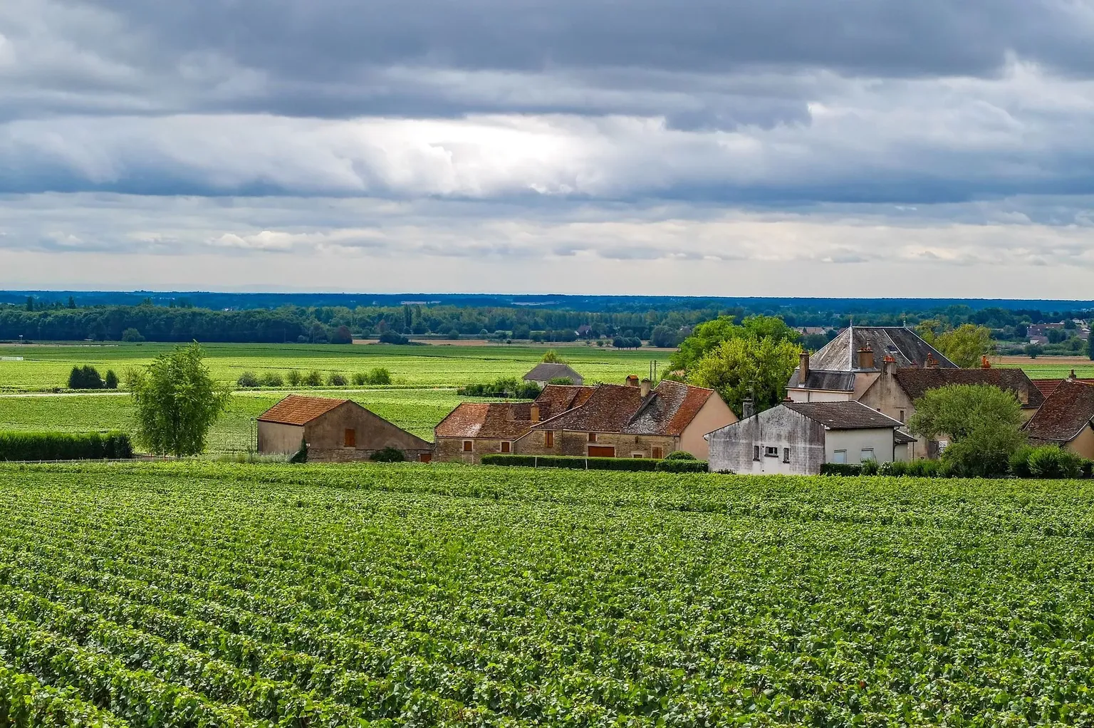 Bourgogne Franche Comte