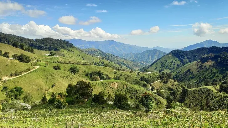 Huila Region | Colombia - Rated 2.2