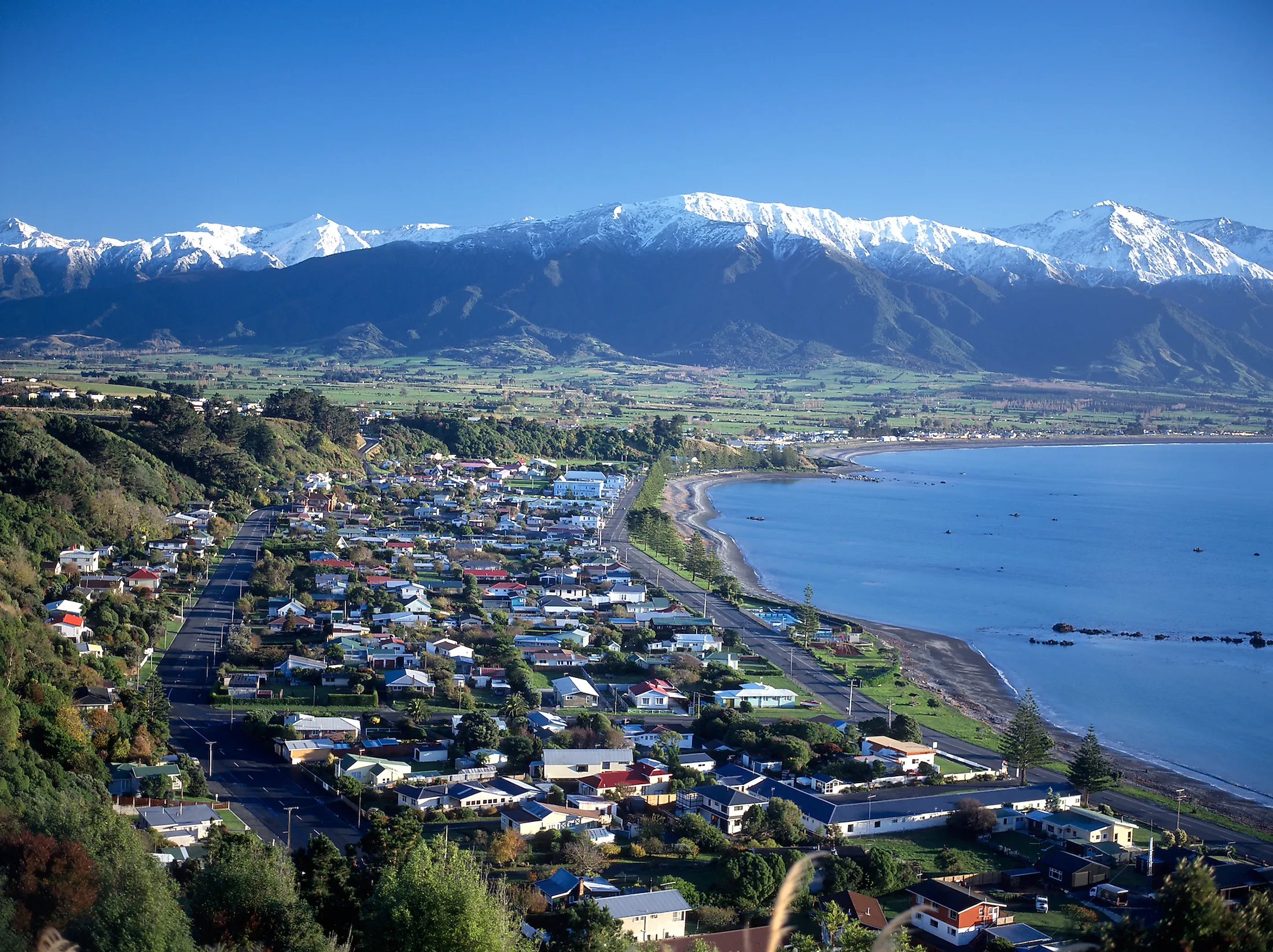 Kaikoura | Canterbury Region, New Zealand - Rated 1