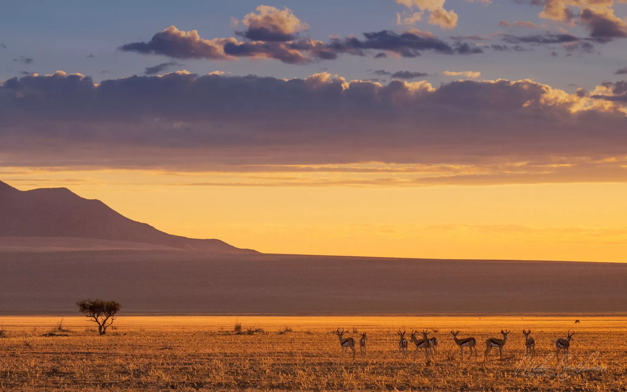 Southwest Region | Namibia - Rated 1.8