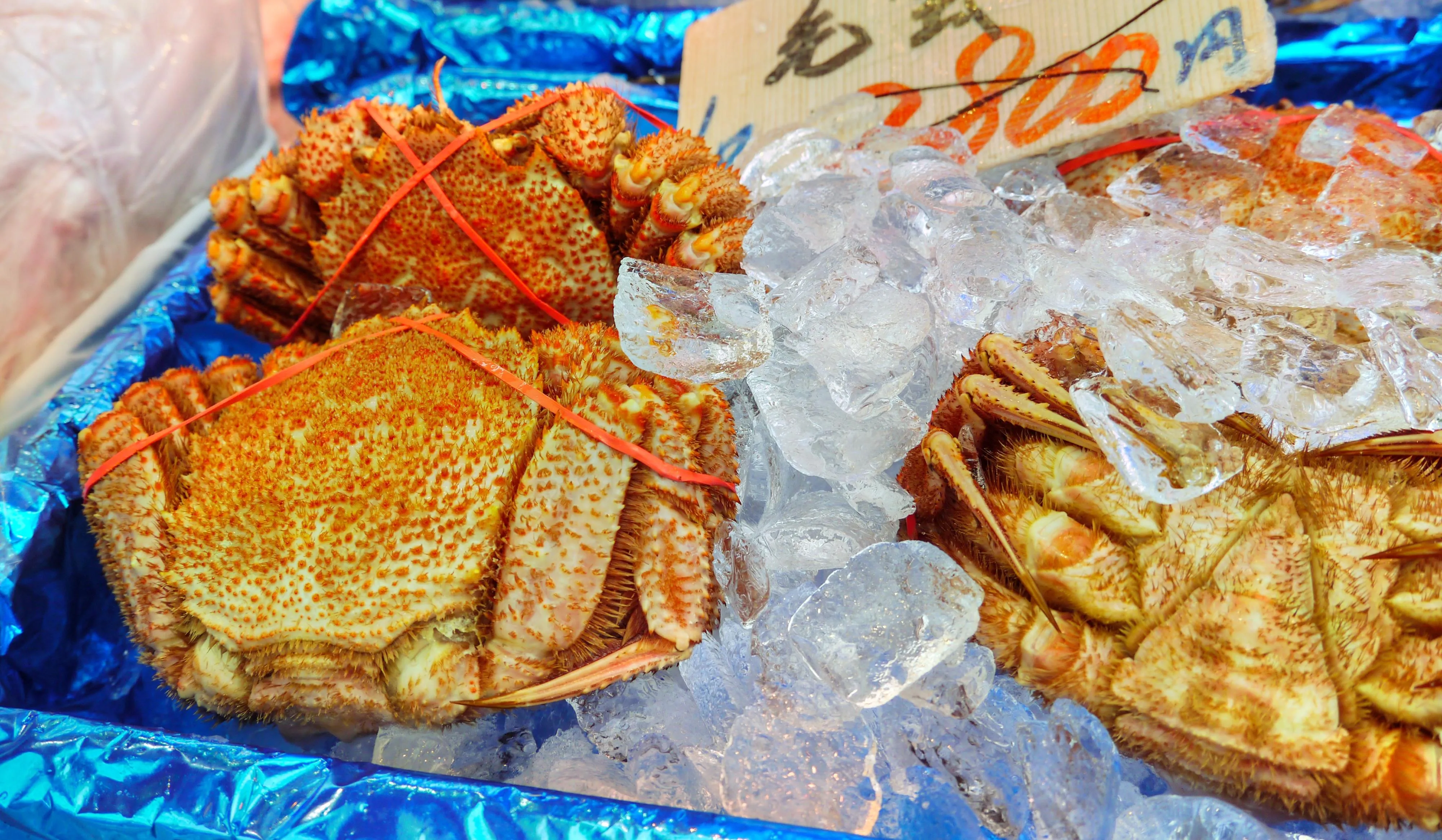 Sapporo Crab Market in Japan, east_asia | Seafood - Country Helper