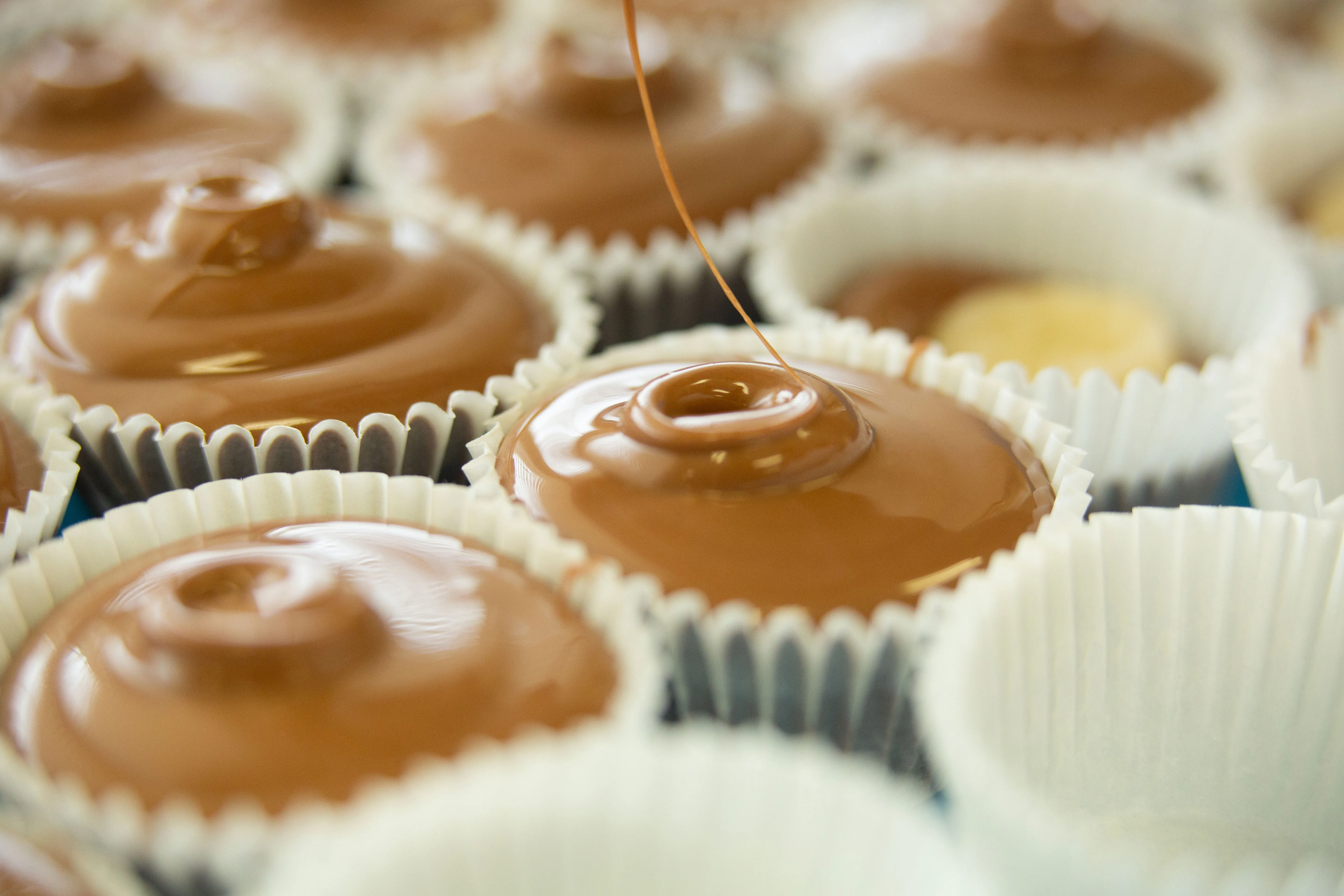 Adirondack Chocolates in USA, north_america | Sweets - Rated 4.7