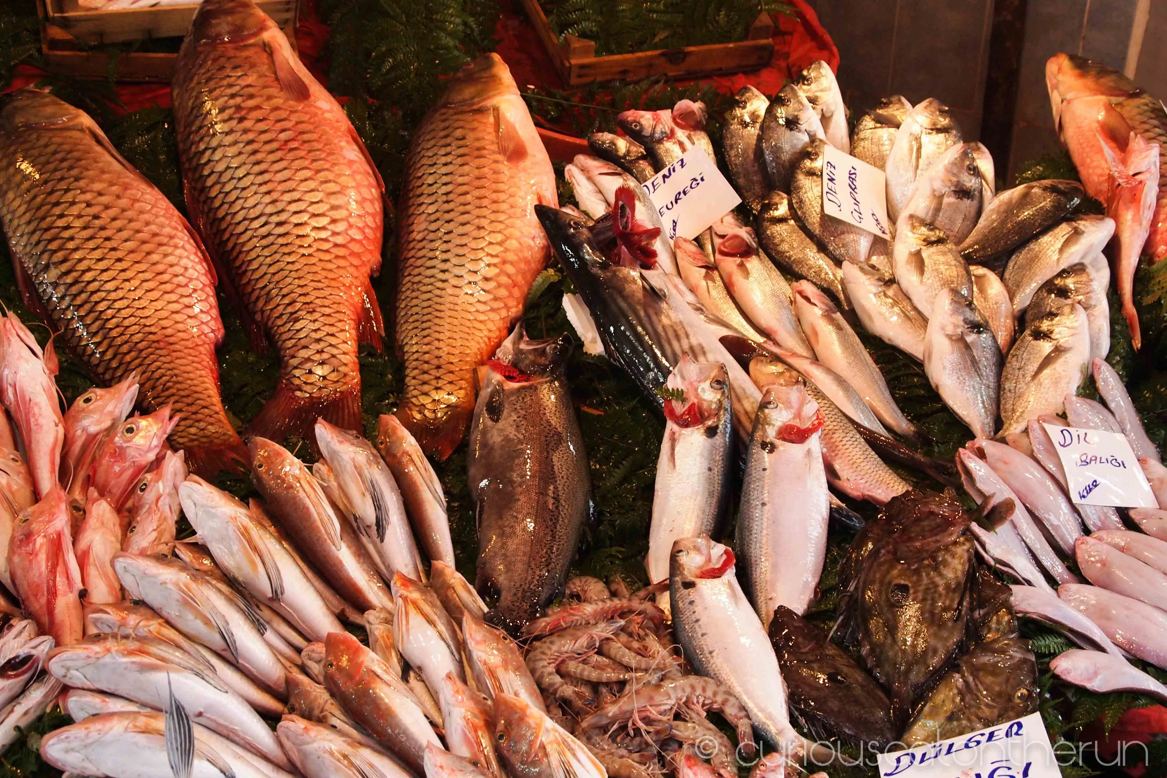 Beyoglu Fish Market in Turkey, central_asia | Seafood - Rated 4.9