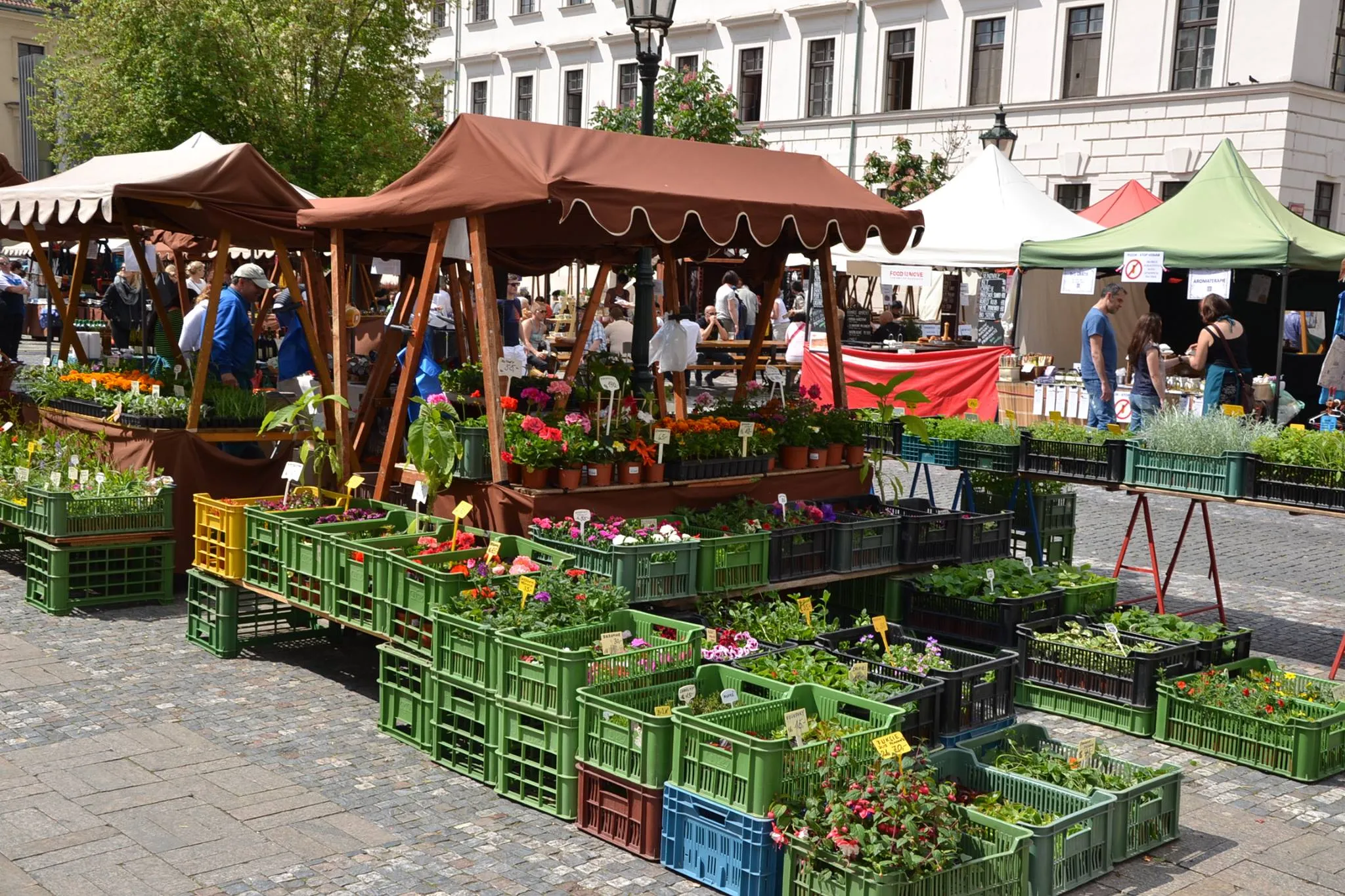 Farmer’s Markets in Czech Republic, europe | Organic Food,Groceries,Fruit & Vegetable,Herbs - Rated 4.6