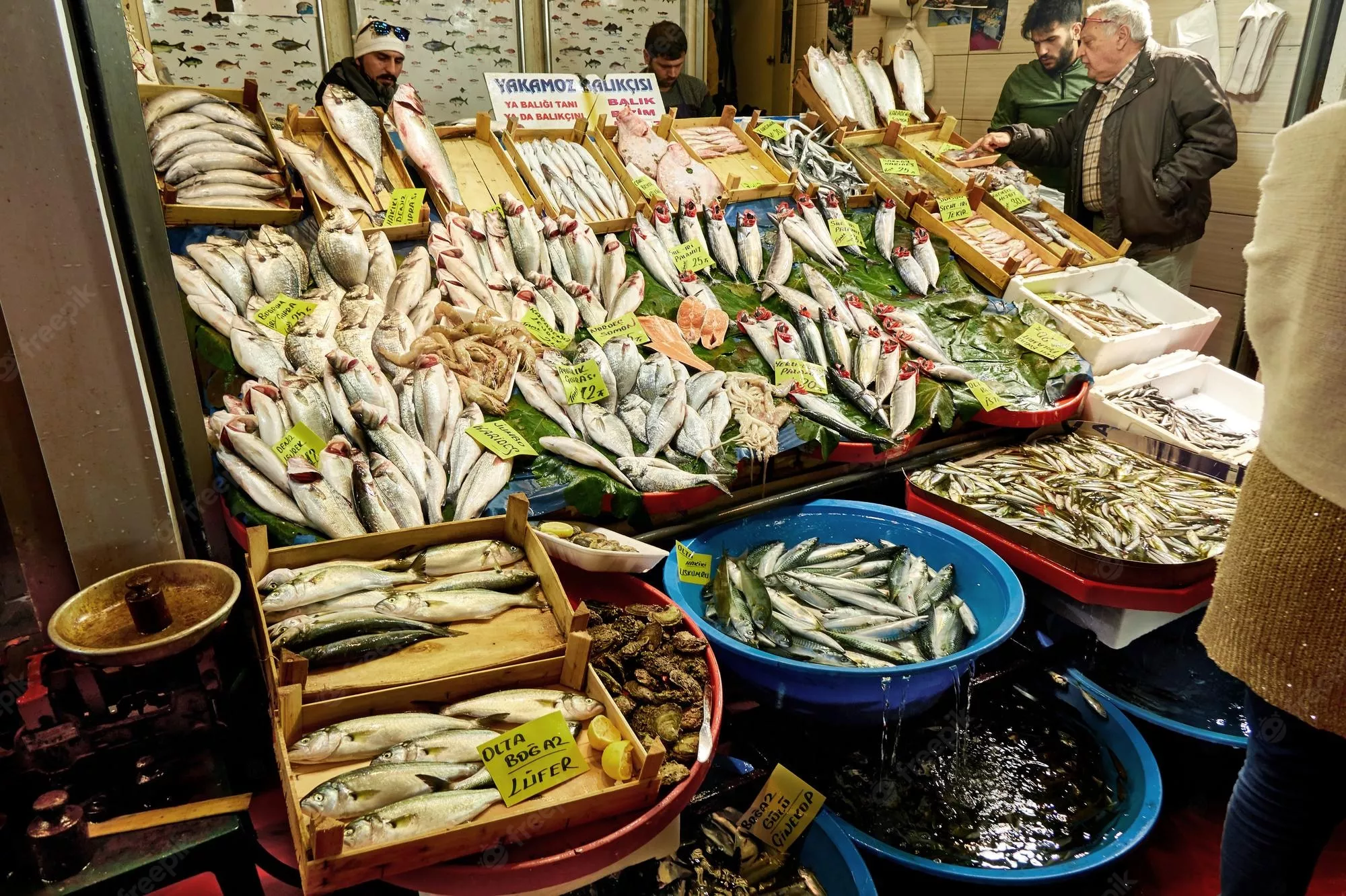 Fresh Fish in Turkey, central_asia | Seafood - Country Helper