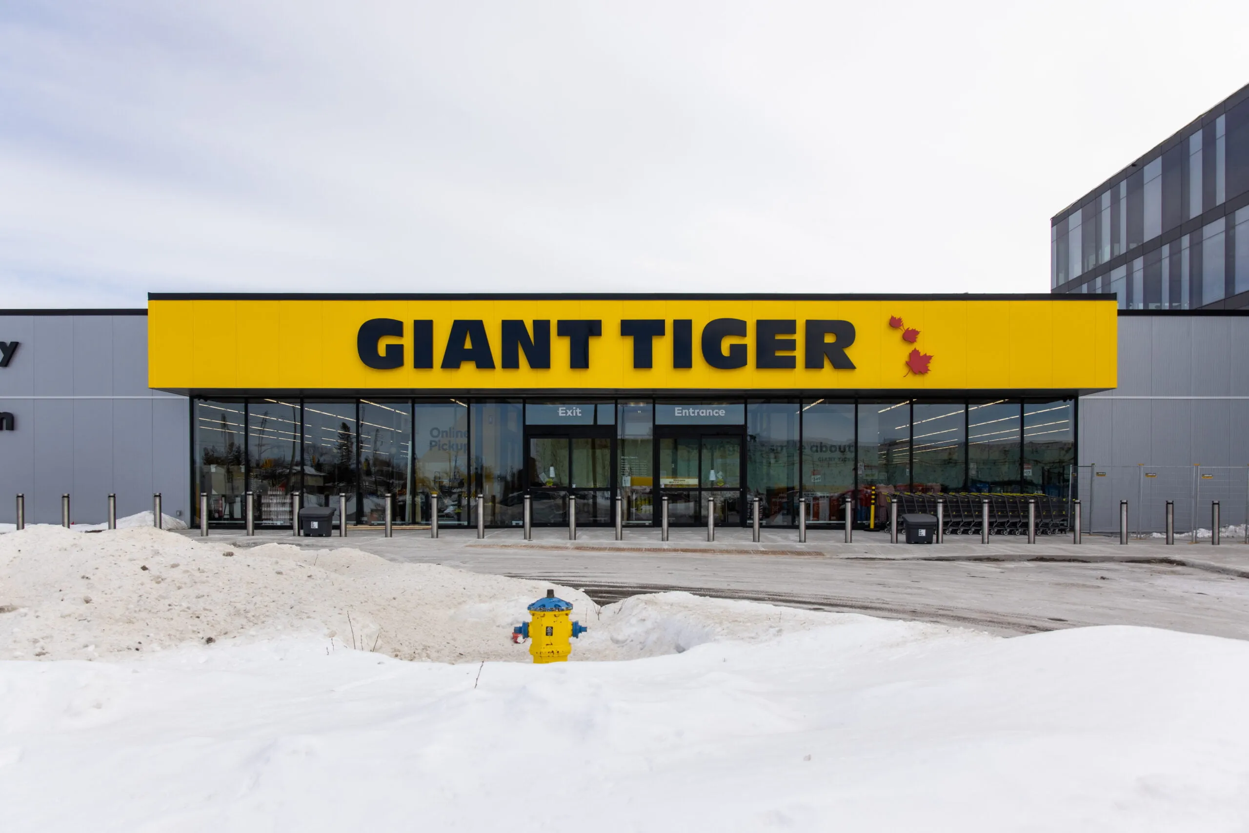 Giant Tiger in Canada, north_america | Fragrance,Handbags,Shoes,Clothes,Cosmetics,Sportswear,Travel Bags - Country Helper