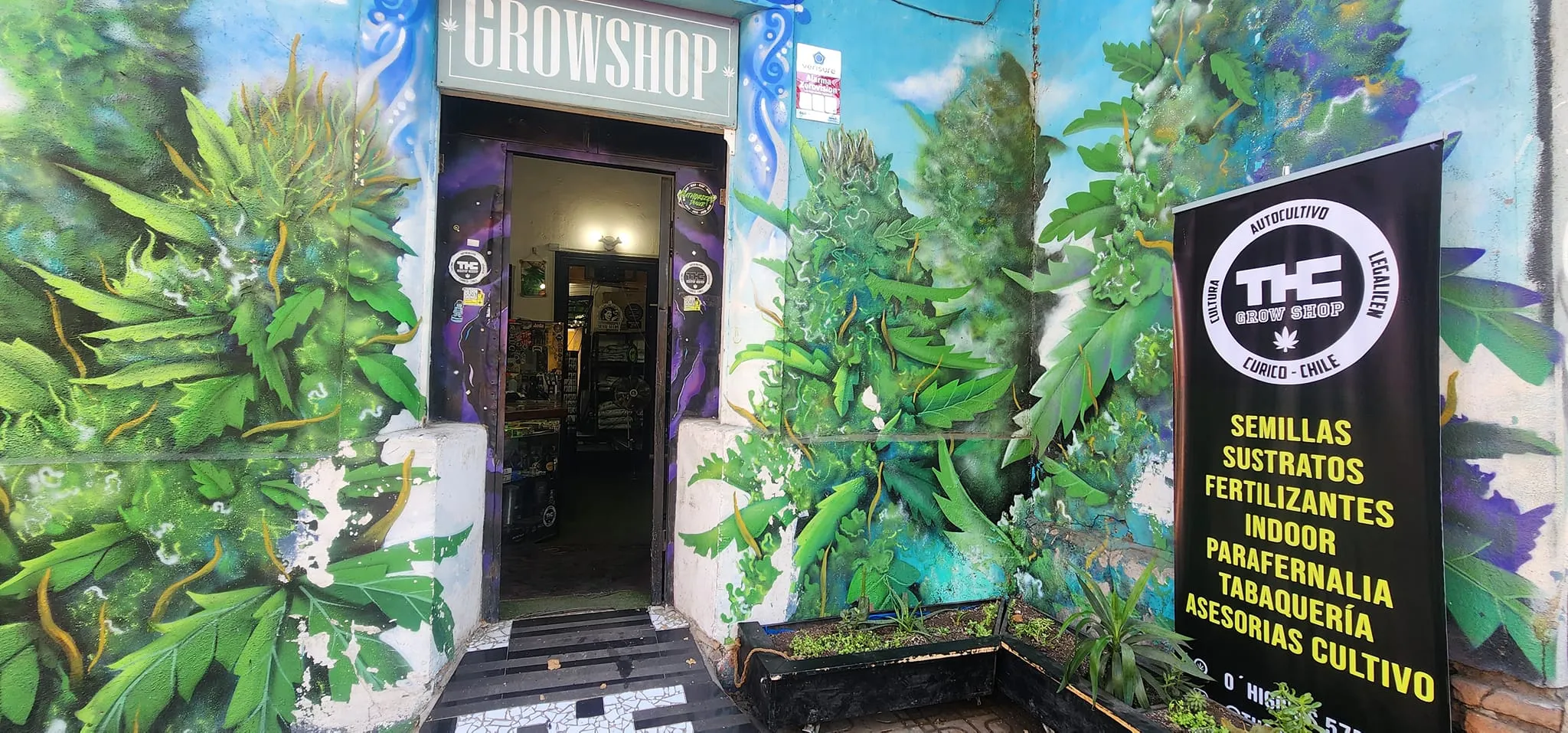 Grow Shop in Italy, europe | Cannabis Products - Country Helper