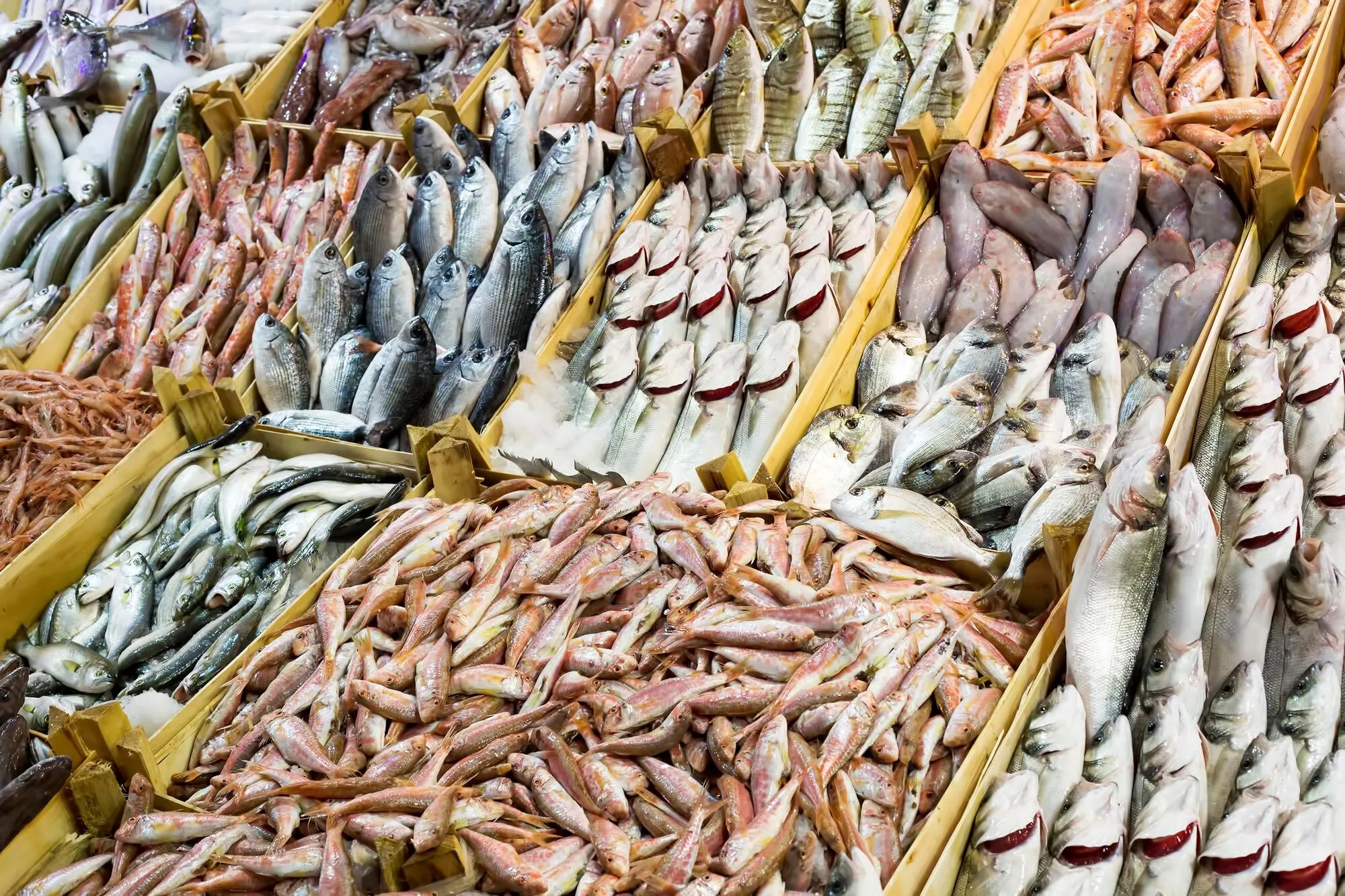 Kadikoy Fish Market in Turkey, central_asia | Seafood - Country Helper