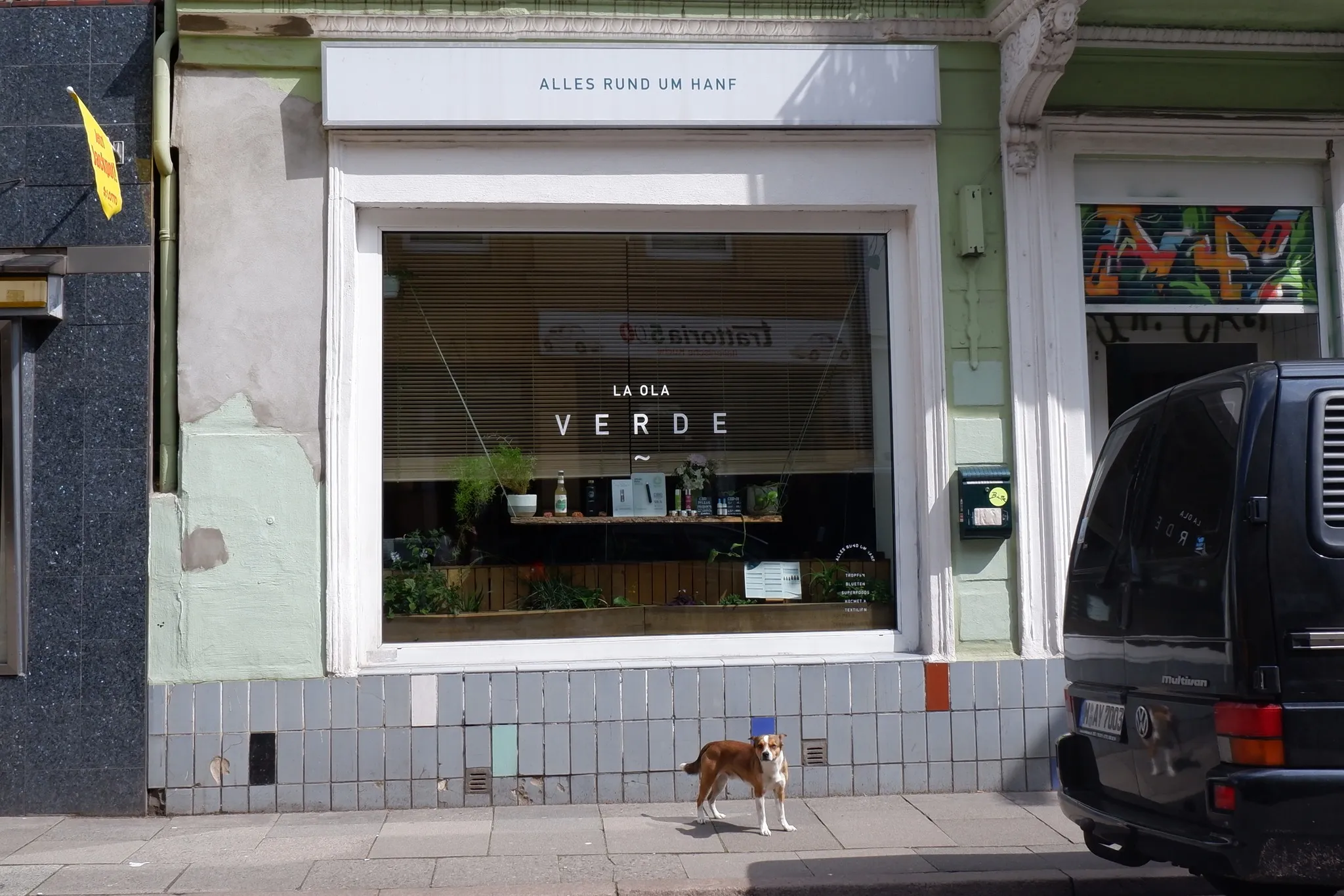 La Ola Verde CBD Shop Hamburg in Germany, europe | Cannabis Products - Country Helper