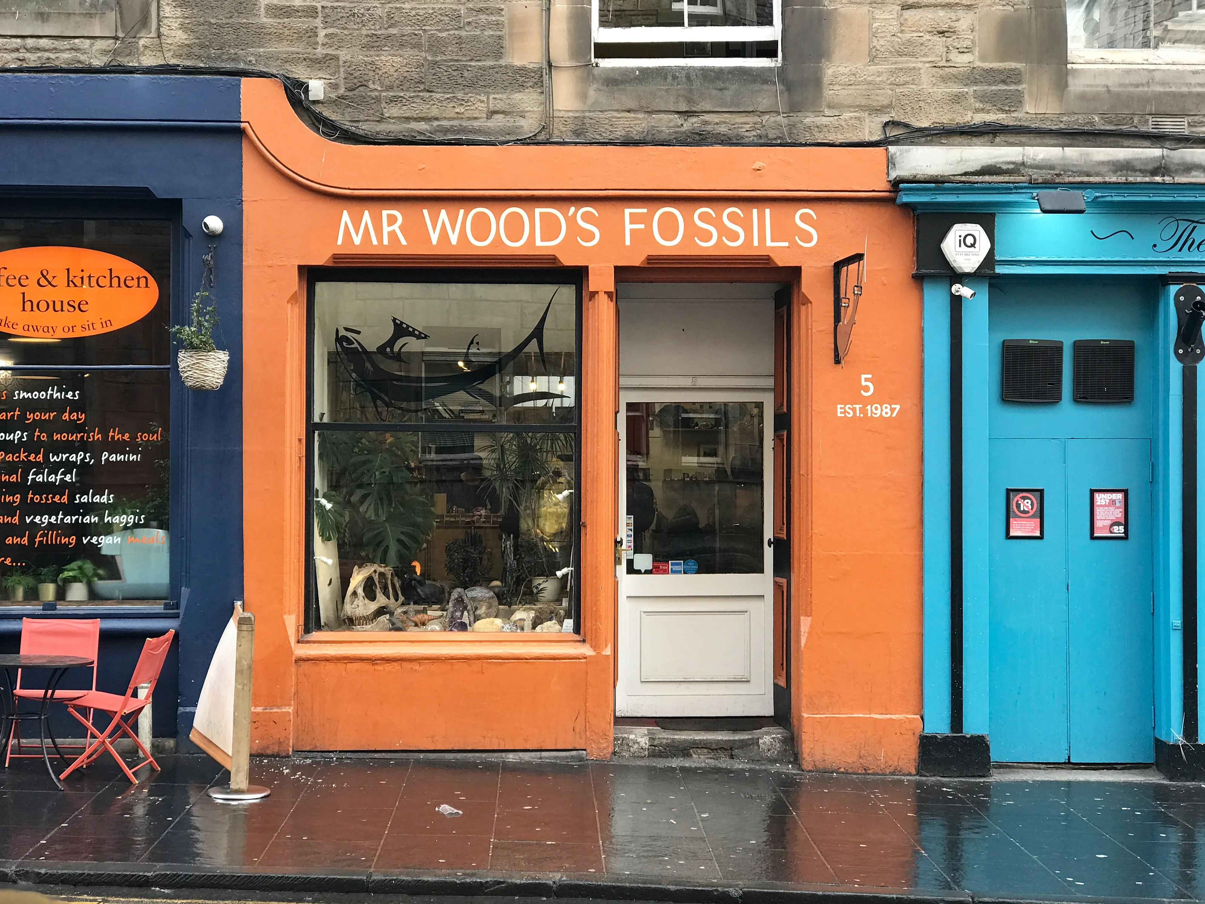 Mr Wood's Fossils in United Kingdom, europe | Other Crafts - Country Helper