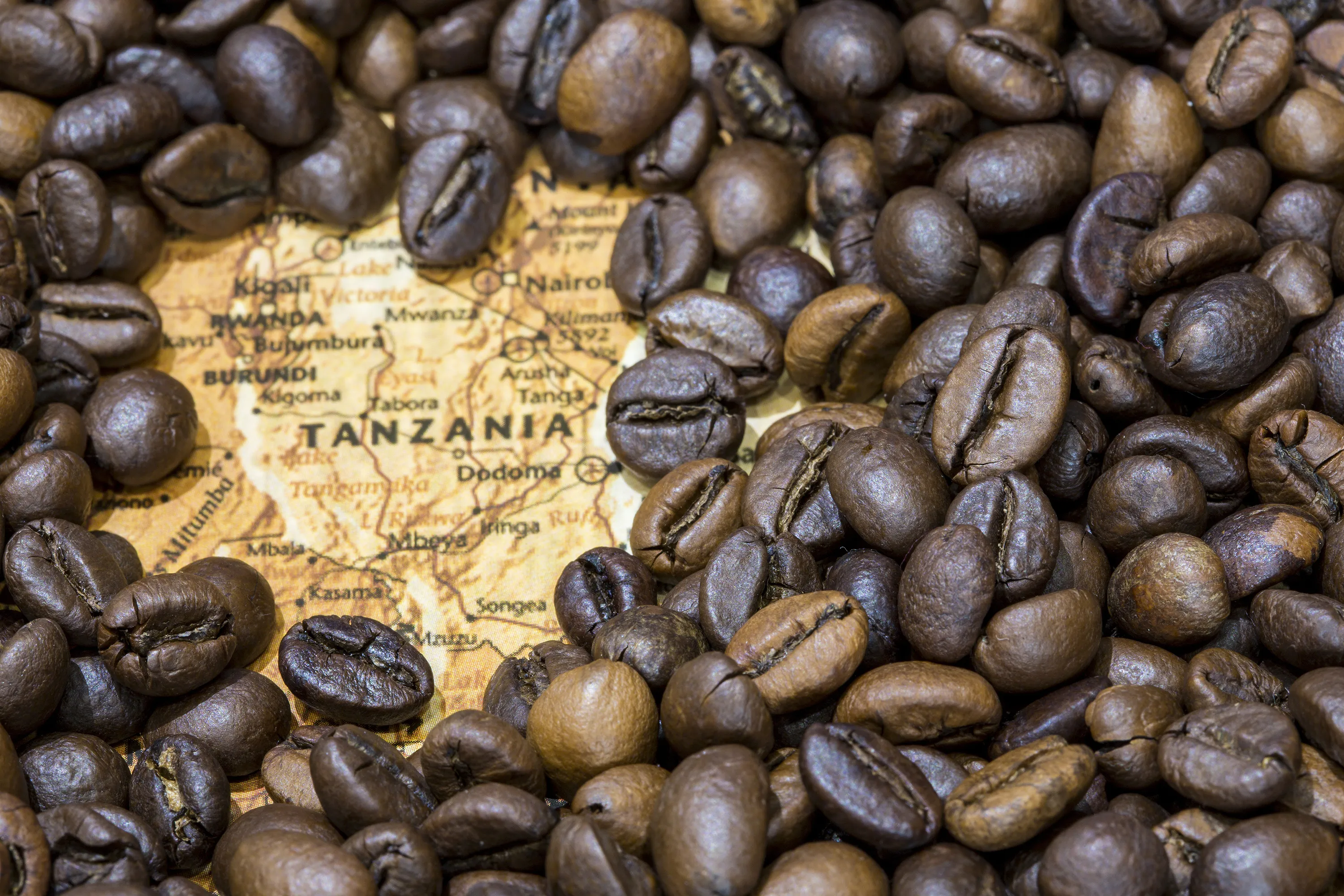 Philipo Coffee Farm in Tanzania, africa | Coffee - Rated 5