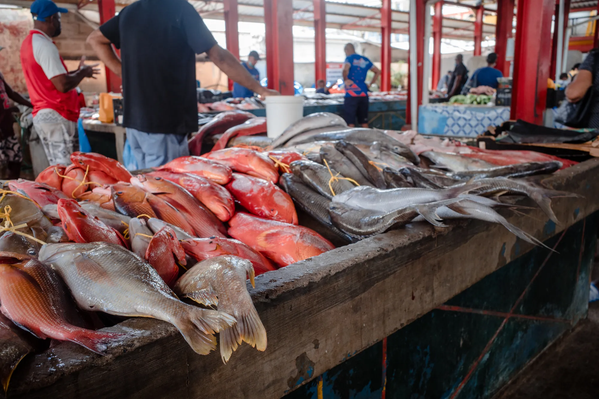 Sir Selwyn Selwin Clarke Market in Republic of Seychelles, africa | Spices,Organic Food,Seafood,Fruit & Vegetable,Herbs - Country Helper