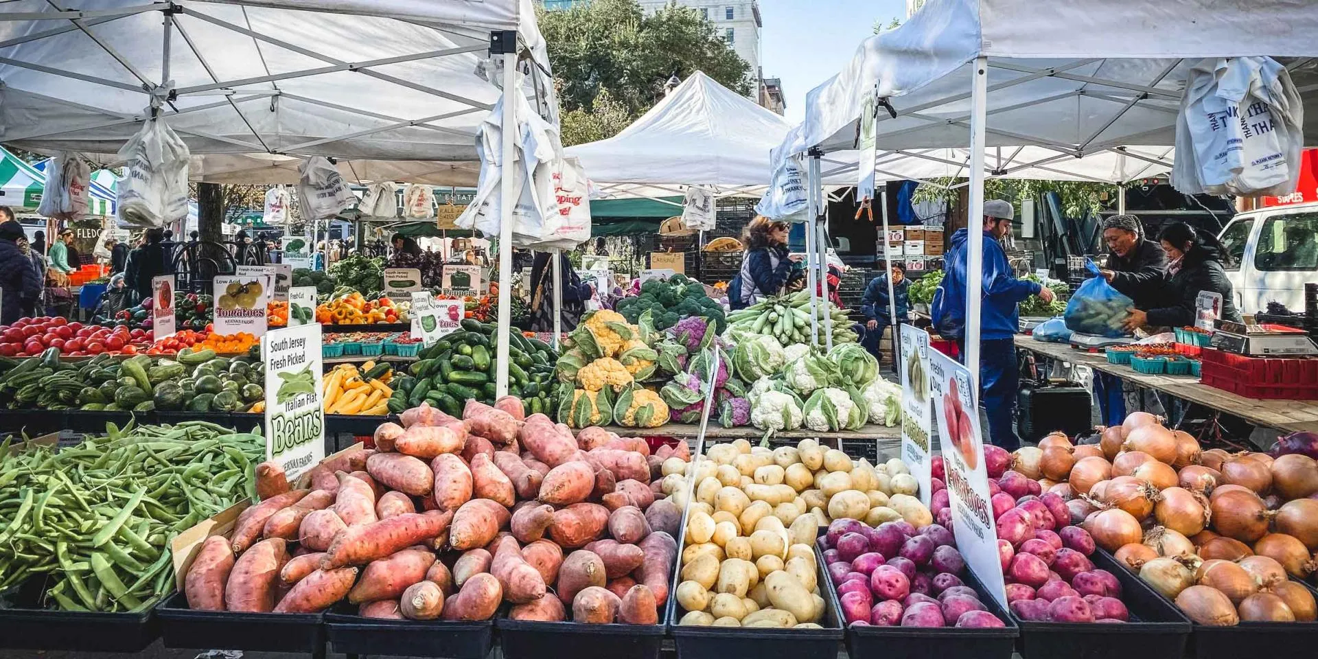 Union Square Greenmarket in USA, north_america | Fruit & Vegetable,Herbs - Rated 4.6