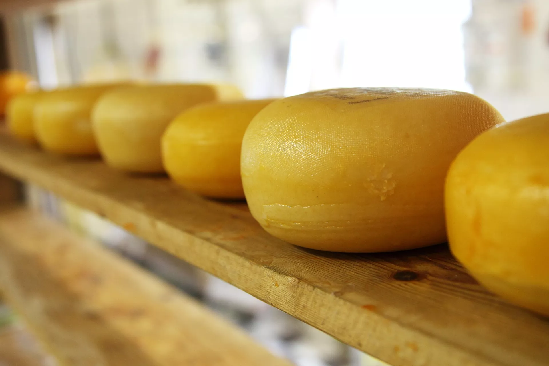 Paroles de Fromagers in France, europe | Dairy - Country Helper