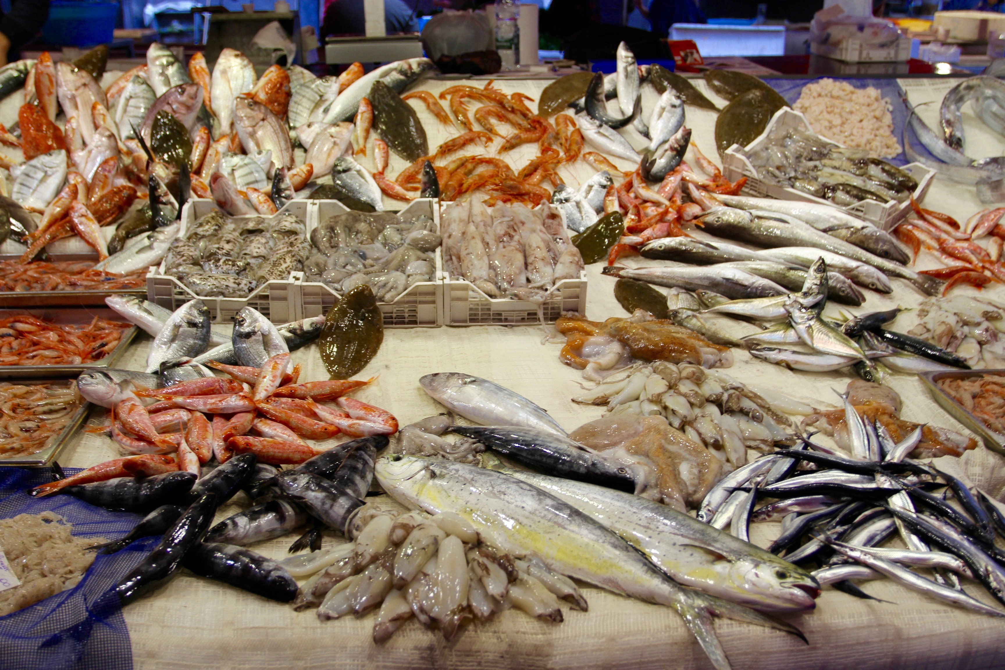 The Fish Store in Italy, europe | Seafood - Rated 4.8