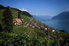 Area Cross Duplex Simon Et Maude Vogel in Switzerland, Canton of Vaud | Wineries - Rated 0.7