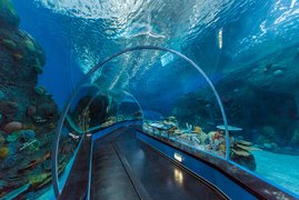 Primorsky Aquarium Scientific and Educational Complex | Aquariums & Oceanariums - Rated 5.2