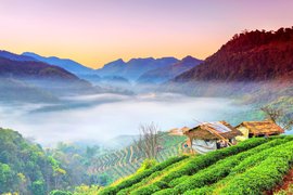 Doi Ang Khang in Thailand, Northern Thailand | Trekking & Hiking - Rated 3.7
