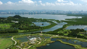 Mai Po Nature Reserve in China, South Central China | Nature Reserves - Rated 3.5