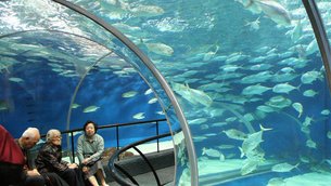 Aqua Vega Aquarium in Turkey, Central Anatolia | Aquariums & Oceanariums - Rated 3.9