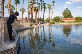 Lorenzi Park in USA, Nevada | Parks - Rated 3.6