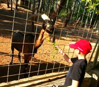 Antalya Zoo | Zoos & Sanctuaries - Rated 3.9
