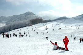 Yushan Ski Resort | Snowboarding,Skiing,Snowmobiling - Rated 3.8