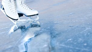 Skate Toronto in Canada, Ontario | Skating - Rated 0.7