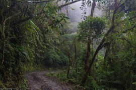 Sendero Las Gachas in Colombia, Antioquia | Trekking & Hiking - Rated 0.9
