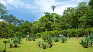 Limbe Botanic Garden | Botanical Gardens - Rated 3.2