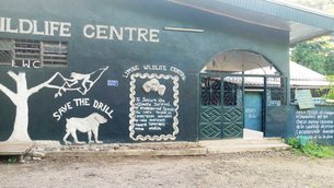 Limbe Wildlife Centre in Cameroon, Southwest | Zoos & Sanctuaries - Rated 3.1