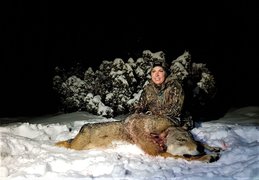 La Starna | Hunting - Rated 0.9