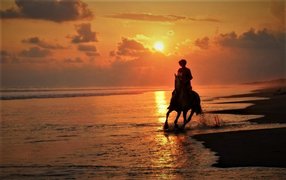 The Riding Adventure in Costa Rica, Puntarenas Province | Horseback Riding - Rated 1
