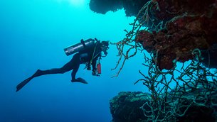 Ocean View | Scuba Diving - Rated 4