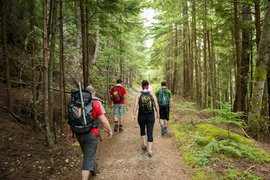 Vosu-Nommeveski Hiking Trail in Estonia, Laane County | Trekking & Hiking - Rated 0.8