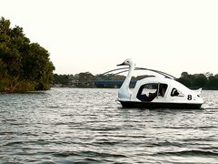 Swan Boat Service in Sri Lanka, Western Province | Yachting - Rated 3.3